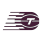 Toronto Tempo